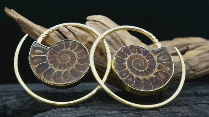Ohrringe mit Ammonite - DD-3